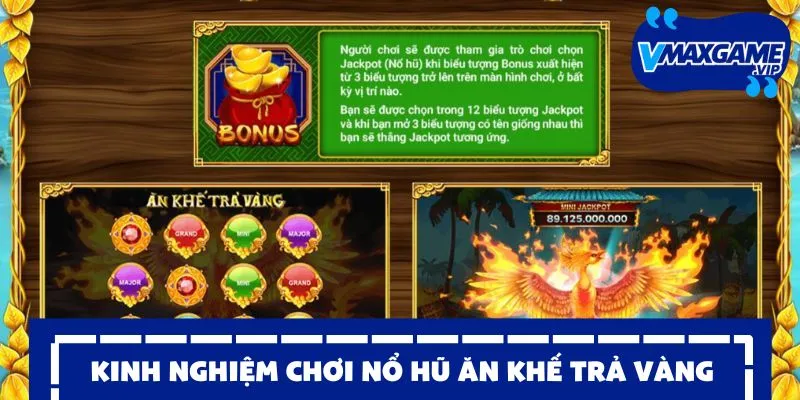ăn khế trả vàng kinh nghiệm