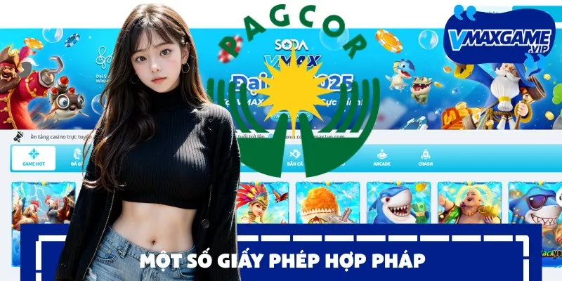 vmax giấy phép